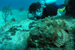 Diver and Scorpionfish, Curacao. D70, 10.5 fisheye. No st... by David Heidemann 
